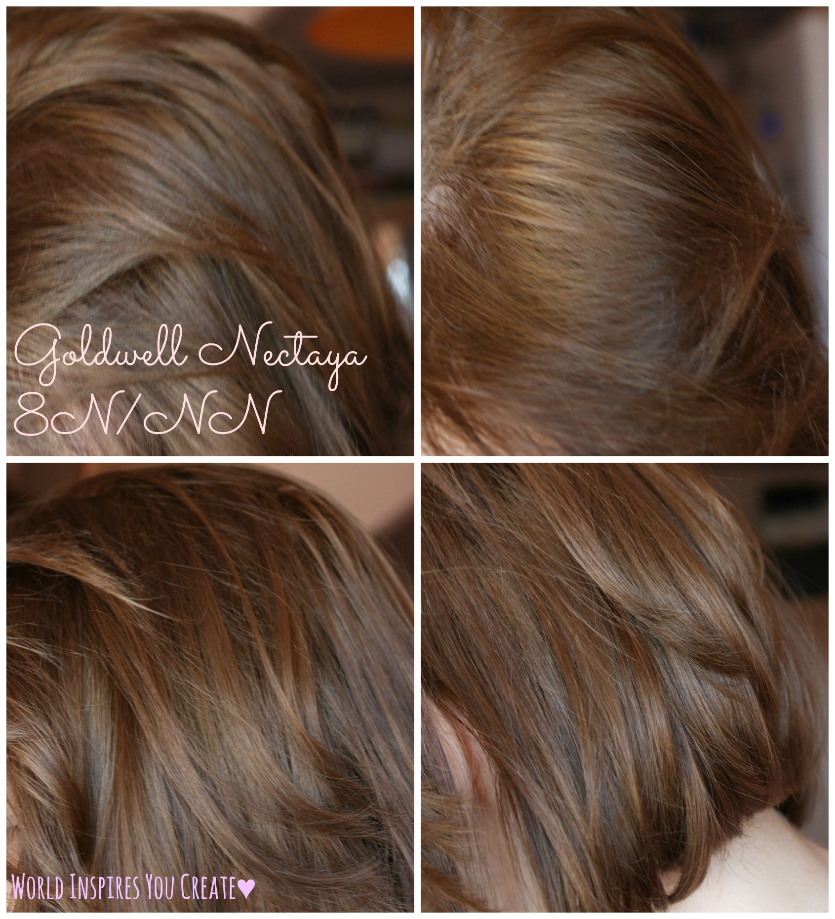 Goldwell Hair Color Chart 2014